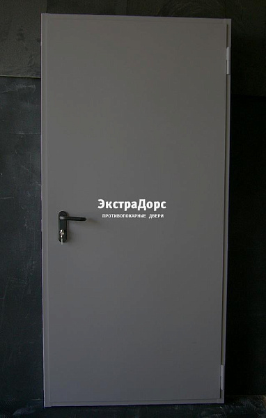 Дверь металлическая противопожарная EI 60 ДПМ 2 типа серая в Химках  купить